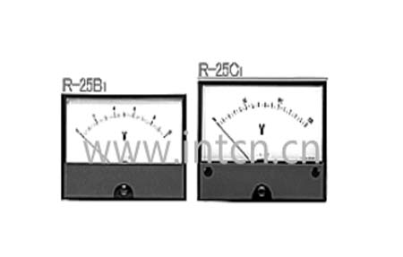 TSURUGA ELECTRIC R Series rectangular display of Crane's Electric Machine